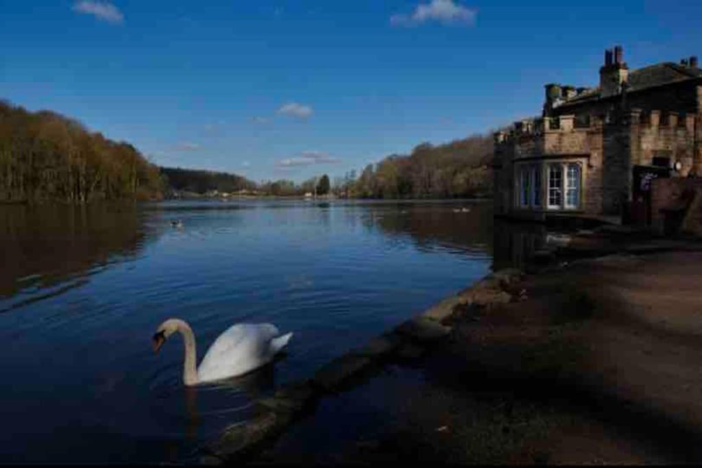 Millstone Cottage Newmillerdam Hill Top Экстерьер фото
